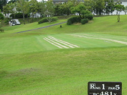 NO.1