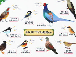 ��݂���S���t�̖쒹����