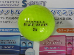 ���܂œ�������EVERIO