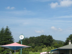 �ō��̓V�C