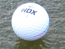 �X���E�E�E�E