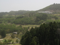 �ł����낵�`��